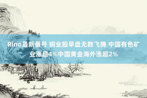 Rino最新番号 铜业股早盘无数飞腾 中国有色矿业涨超4%中国黄金海外涨超2%