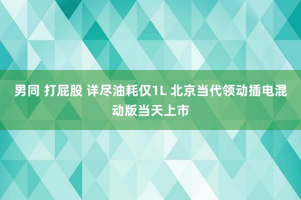 男同 打屁股 详尽油耗仅1L 北京当代领动插电混动版当天上市